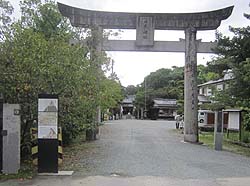 ���g�_�В���