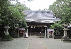 ���g�_�Дq�a