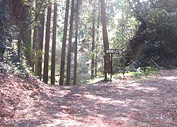 ��s������