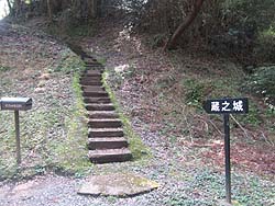 ���V�����