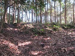 �|���ւ̓�