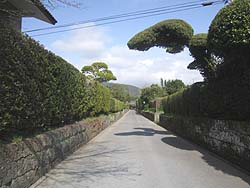 ���Ɖ��~�ʂ�