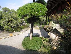 ����������