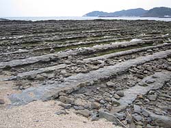 �S�̐����