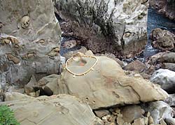 �T���e�`��