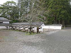 �S�C���Ԃ̂��镻