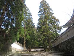 �����킹��