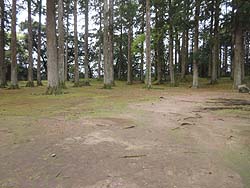 ���{�یՌ�