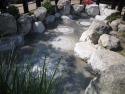 �S�ΖV��n��