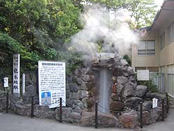 �����n��