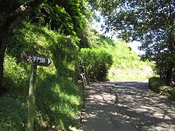 ����Փ��W
