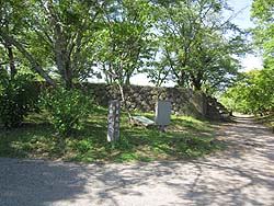 ������Αg