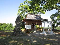 ����V���_��