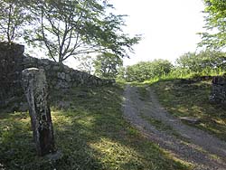 �V���~���