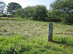 ���̊ی�a��
